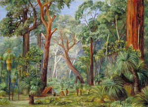 Scene In A West Australian Forest — Marianne North, Realism Naturalism