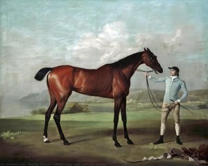 'molly Long Legs' With Her Jockey — George Stubbs