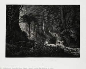 Forêt Vierge Du Brésil — Conde De Clarac Claude François Fortier