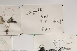 Petri Pétrifié — Fabrice Hybert