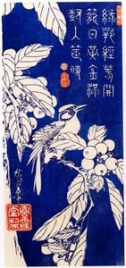 Loquat and Bird