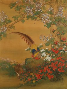 Pheasants — Morohoshi Seishō