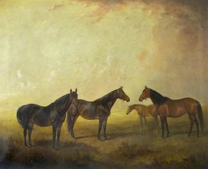 'Sandblast', 'Colonia' and 'Mother Seigel'