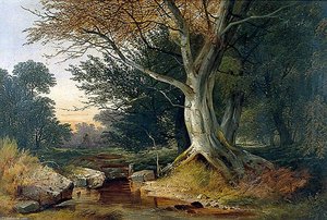 Beech Tree By A Rocky Stream — John Berney Ladbrooke