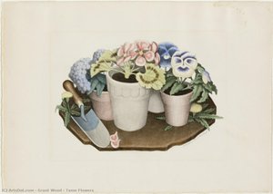 Tame Flowers — Grant Wood