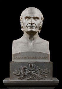 Lazzaro Spallanzani Portrait Bust — Pietro Paolo Galeotti