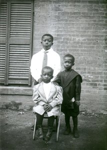 Three Boys — Lauren Felice Collins