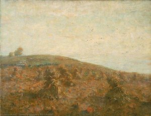 The Cornfield