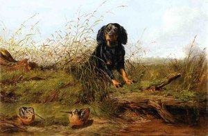 Cocker Spaniel And Woodcock — Arthur Fitzwilliam Tait