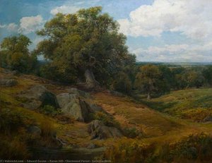 Raven Hill, Charnwood Forest, Leicestershire — Edward Davies