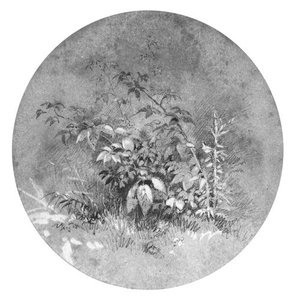 Study Of Ground Foliage — William Trost Richards