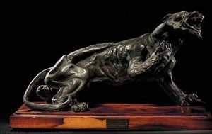 Panther — Antonio Laccabue