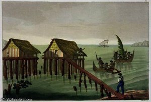 Habitations of the Papu Tribe