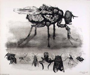 (a Bestiary, Portfolio) Fly And Smaller Insects — Aubrey Schwartz