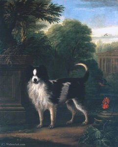 Muff, A Black And White Dog — John Wootton, Baroque
