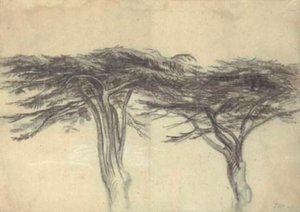 Study Of Two Cedars Of Lebanon — James Ward