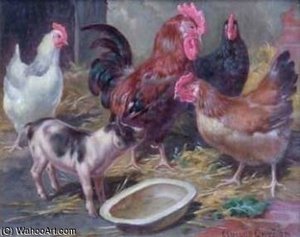 Farmyard Encounter