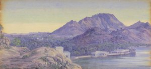 'ajmere. India. Decr. 1878' — Marianne North