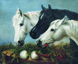 Horses' Treat