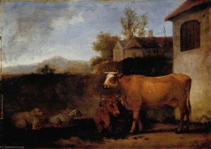 Cows and Sheep