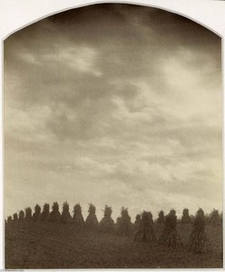Corn Shocks And Sky — Doris Ulmann