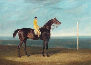Ack Spigot, A Dark Bay Racehorse With Jockey Up — John Frederick Herring Senior
