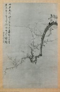 Yi Yu-Won
