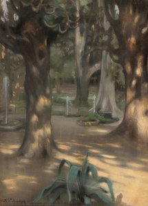 Gardens of the villa D