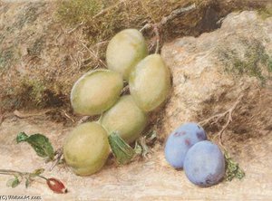 Magnum Bonum And Orleans Plums — William Henry Hunt