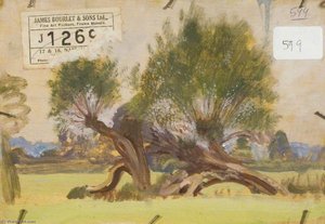 Study Of Willows (verso) — Sir Alfred James Munnings, Impressionism