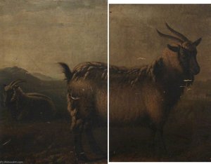 Brecon And Glamorgan Highland Goats (diptych) — William Shiels, Contemporary Realism
