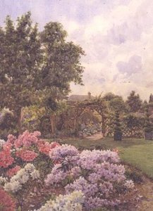 Rhododendrons — Ernest Arthur Rowe