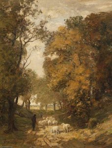 Autumn in the Woods