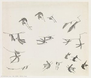 Birds' Feet — Xie Zhiliu