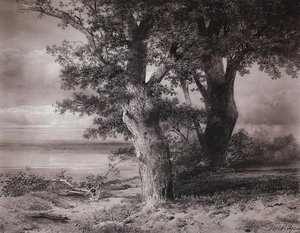 Oaks On The Shore — Aleksey Savrasov
