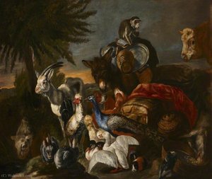 An animal scene