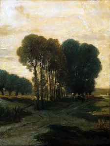 A Clump Of Trees