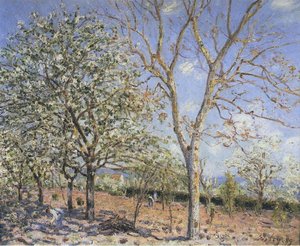 Trees In Bloom — Alfred Sisley