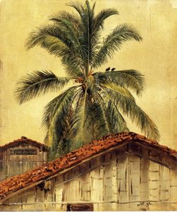 Palm Trees And Housetops, Ecuador — Frederic Edwin Church