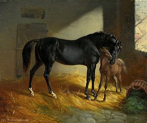 Horse And Foal In The Stables Balz — Benno Raffael Adam