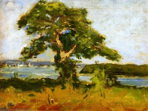 Near St. Petersburg, Florida — Elliott Dangerfield