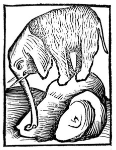 Elephant In Hortus Sanitatis — Martin Schongauer
