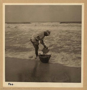 Fisherman On Gaza Coast — John D. Whiting
