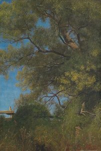 Salem-landscape-large — Albert Bierstadt