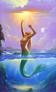 Reach For The Sun — Jim Warren