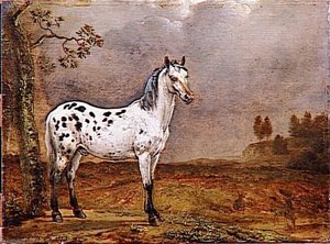 Le Cheval Pie — Paulus Potter, Dutch Golden Age