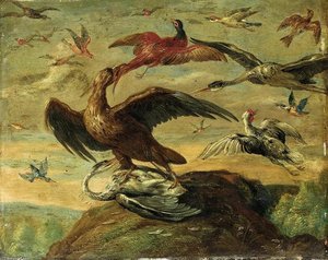 Birds — Jan Van Kessel