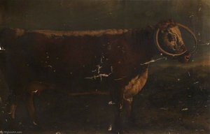Longhorn Cow — William Shiels