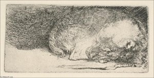 The Little Dog Sleeping — Rembrandt Van Rijn, Dutch Baroque