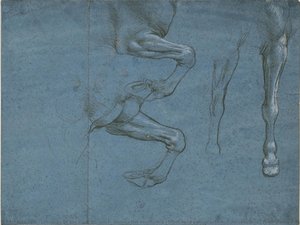 Studi Delle Zampe Anteriori Del Cavallo, C. 1490 (punta Metallica E Lumeggiature Di Biacca Su Carta Preparata Azzurra) — Leonardo Di Ser Piero Da Vinci & Andrea Del Verrocchio, Renaissance Sculpture